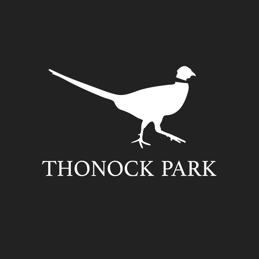 Thonock Park
